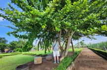 Trowulan Tour Ruin of Majapahit Kingdom from Surabaya