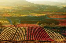 Rioja wine region with visit to winery & Vitoria-Gasreiz