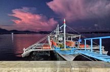 Puerto Princesa Firefly Watching Bay Cruise with Dinner