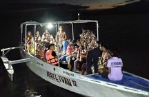 Puerto Princesa Firefly Watching Bay Cruise with Dinner