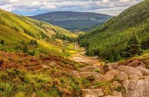 The Original Award Winning Wild Wicklow Tour incl. Glendalough