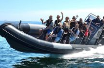 Sea trip from Villefranche sur Mer to Mala with swimming
