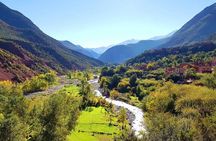 Atlas Mountains 3Valley &Sahara Camel ride Waterfalls Day Trip 