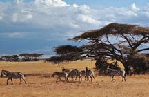 Amboseli National park group day tour from Nairobi