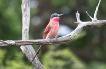 HLANE ROYAL NATIONAL PARK - Daytrip (Open Vehicle)