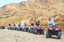 Marsa Alam Super Safari Quad, Jeep, Camel and Party with Dinner 
