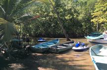 Osa Jet Ski - Guided Ocean and Mangrove Tours