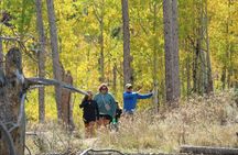 Private Rocky Mountain National Park 6 Hour Tour