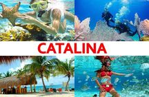 The best excursions from Punta Cana, Buggies,Saona,and much more