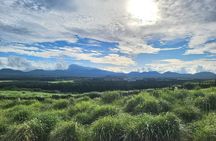 Private Jeju Geopark Gotjawal and Oreum Trekking Experience