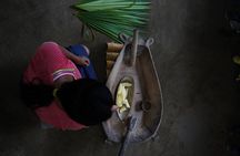 4-Day All-Inclusive Amazon Adventure: Explore Napo's Rainforest