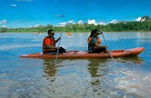 Canopy Walkway, Zip Line, Kayak, and Monkey Island in Tambopata.
