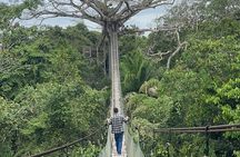 Canopy Walkway, Zip Line, Kayak, and Monkey Island in Tambopata.