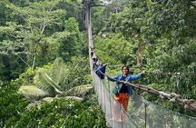 Canopy Walkway, Zip Line, Kayak, and Monkey Island in Tambopata.
