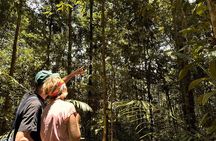 Exclusive 3-Day All-Inclusive Amazon Adventure in Napo Province