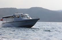 Oman's Coastal Magic Dolphin Watching Tour in Muscat