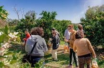 Fruit Picking & Nature Private Tour Yarra Valley & Warburton