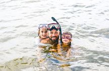 Sea Wonders Dolphin Watching and Snorkeling in Muscat