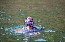 Sea Wonders Dolphin Watching and Snorkeling in Muscat