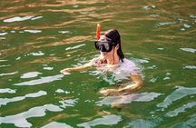 Sea Wonders Dolphin Watching and Snorkeling in Muscat