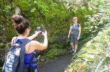 Bruce Peninsula 3-Day Camp (Island Cruise, Flowerpots, Grotto)
