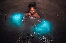 Night Tour-Luminating Blue Lagoon Waters