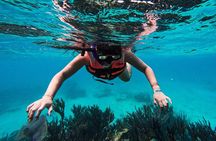 2-Hour Tulum Snorkel: Sea Turtles, Stingrays & Ruins from the Sea