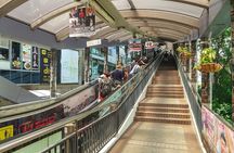 Top-Rated Hong Kong Tour: Peak Tram, Dim Sum & Cultural Sights