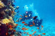 Private Speed Boat Trip In Hurghada