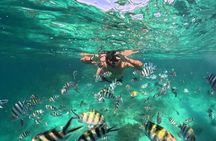 Private Island Hopping from Port Barton with Turtle Watching