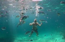 Private Island Hopping from Port Barton with Turtle Watching