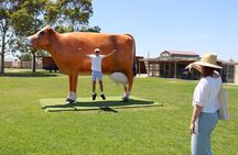 Melbourne Phillip Island 1 Day Tour
