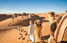 Dubai Evening Desert Safari With Transfers Dune Bashing & Dinner