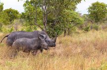 7-Day Private Tour in Kenya National Parks From Nairobi / Mombasa