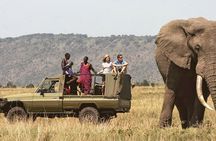 3-Day Meru National Park Private Guided Safari Tour