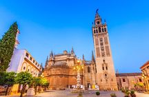 Sevilla: Guided tour to the Alcazar + Cathedral and Giralda