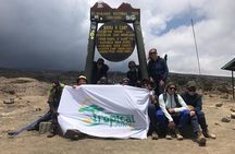 Lemosho Route 8 Days Kilimanjaro Trekking plus 2 Overnights