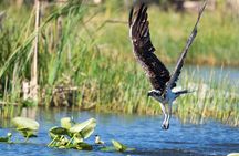 Everglades Kayak & Canoe Rentals