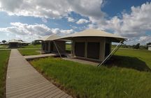 Flamingo Everglades Boat Tours