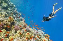 Private Speed Boat Trip In Hurghada