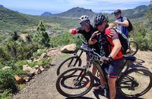 E-bike Ride at Chinyero Natural Reserve - on premium bikes