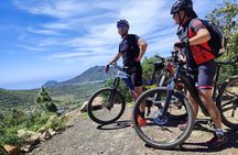 E-bike Ride at Chinyero Natural Reserve - on premium bikes
