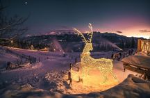 Zakopane & Thermal Hot Springs with Private Vehicle