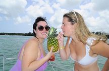 Private Boat and Snorkeling with Open Bar