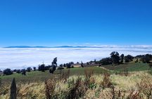 Experience Irazú Volcano National Park from San José - Half day