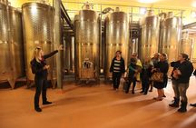 Award-Winning Hunter Valley Wine & Cheese Tour from Sydney