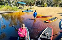 Ormond Beach Manatee and Nature Tour Kayaking or Paddle Boarding