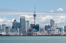 4 Hours Private Tour in Auckland 