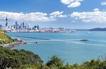 4 Hours Private Tour in Auckland 