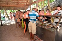 Saona Island Day Trip with Lunch, Transportation and Drinks